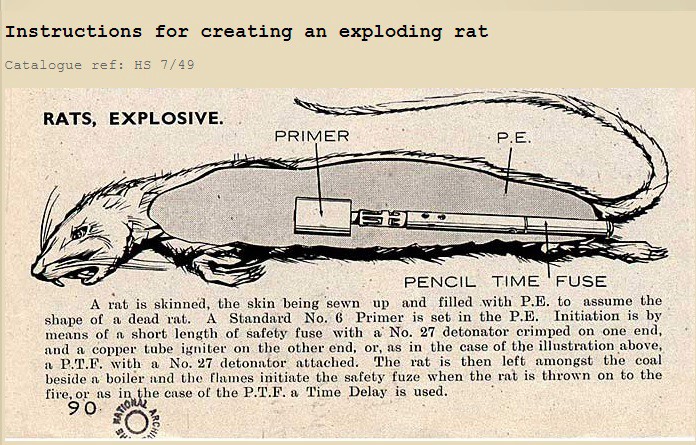 Exploding Rats Exploding Rats