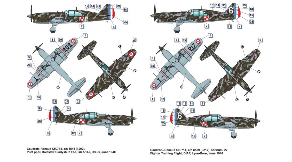Dora Wings Caudron-Renault CR.714 Paint and Marking-2