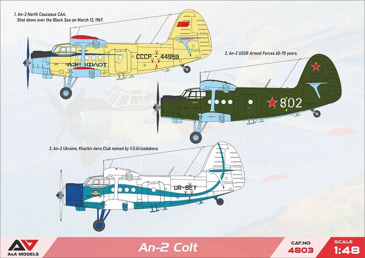 A&A Models 1/48 Scale An-2 Colt Painting and Marking