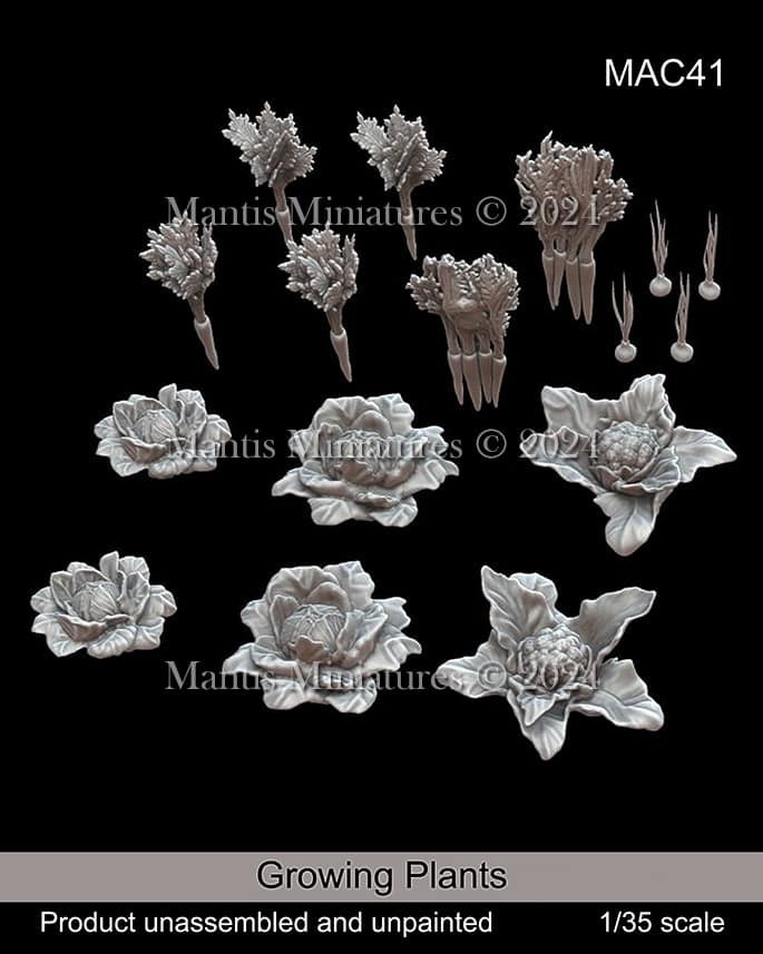 MAC41 - Growing Plants