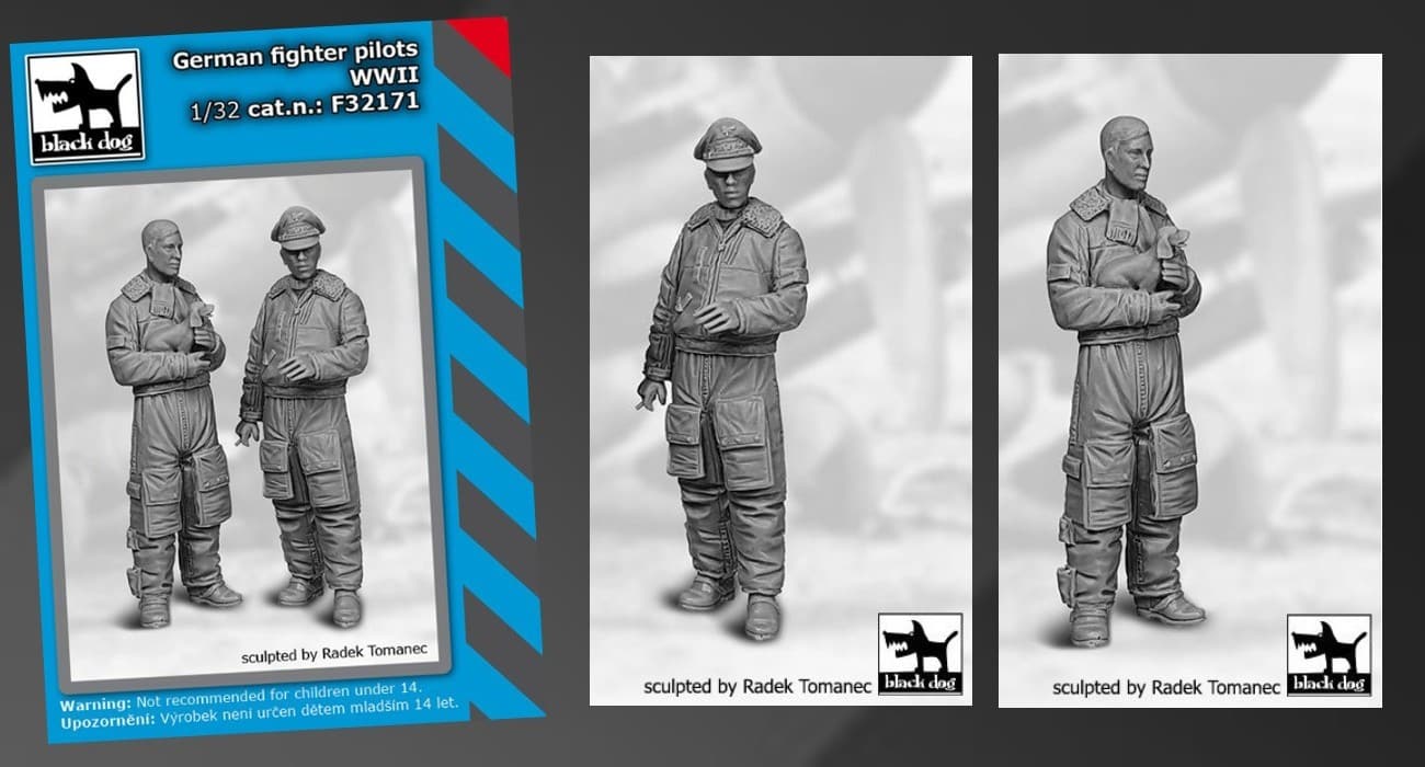 The WWII Luftwaffe fighter pilots have been released